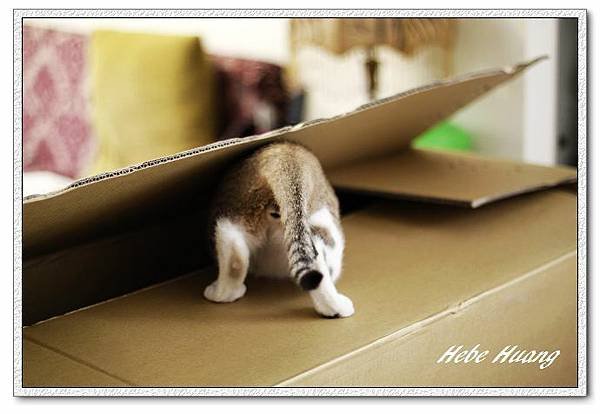 nEO_IMG__MG_9593.jpg