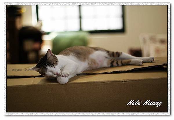nEO_IMG__MG_9604.jpg