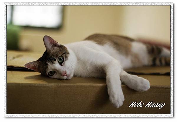 nEO_IMG__MG_9605.jpg