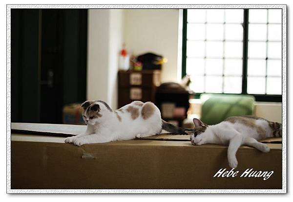 nEO_IMG__MG_9615.jpg
