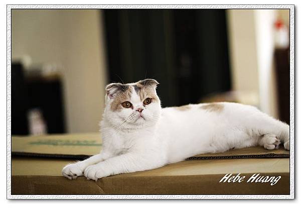 nEO_IMG__MG_9622.jpg