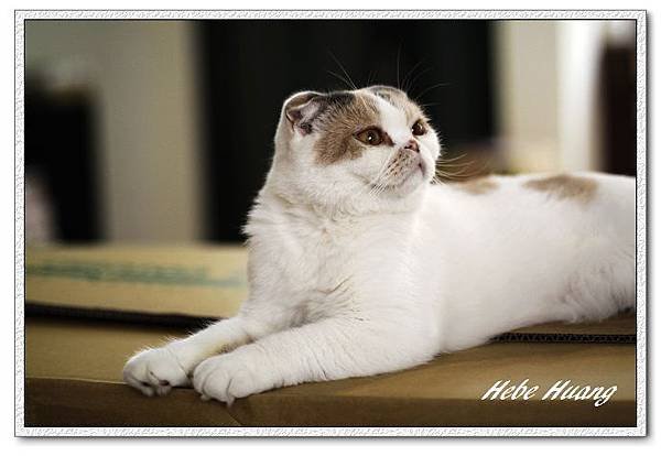 nEO_IMG__MG_9623.jpg