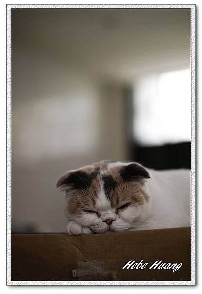 nEO_IMG__MG_9628.jpg
