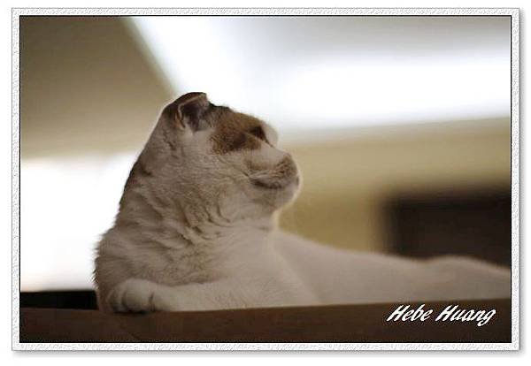 nEO_IMG__MG_9631.jpg