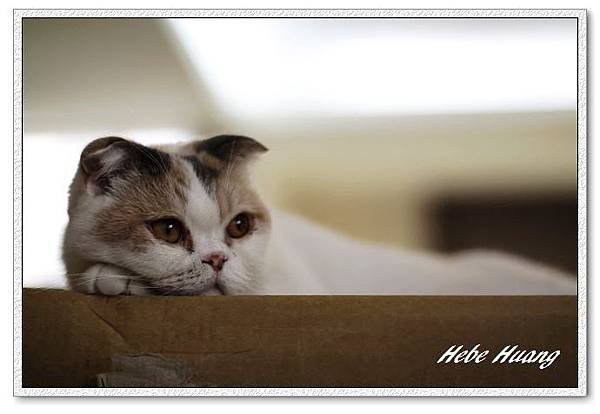 nEO_IMG__MG_9634.jpg