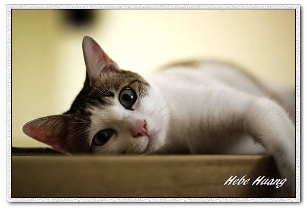 nEO_IMG__MG_9640.jpg