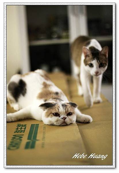nEO_IMG__MG_9665.jpg