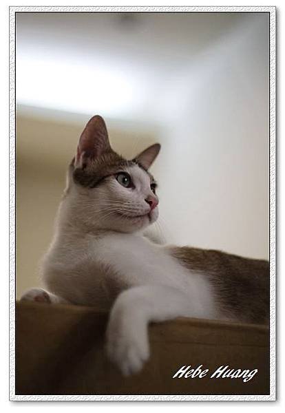 nEO_IMG__MG_9655.jpg
