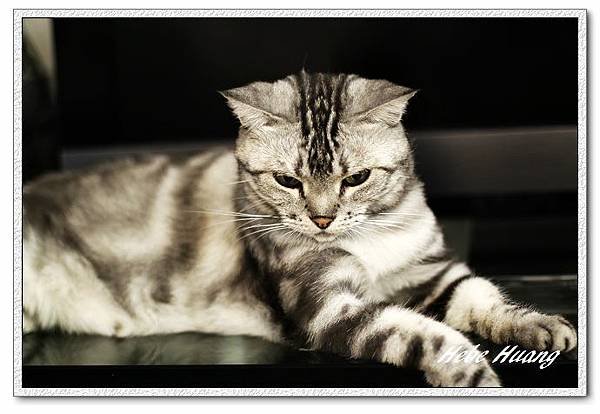 nEO_IMG__MG_9668.jpg