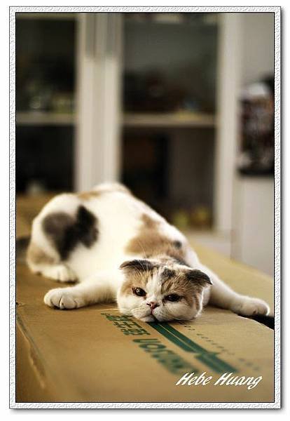 nEO_IMG__MG_9667.jpg