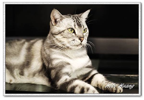 nEO_IMG__MG_9670.jpg