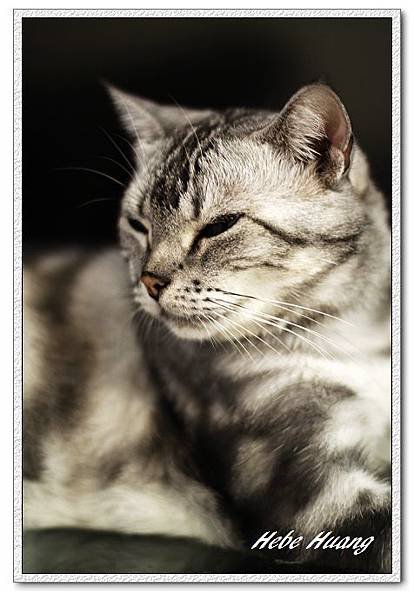 nEO_IMG__MG_9671.jpg