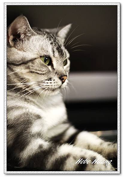 nEO_IMG__MG_9672.jpg