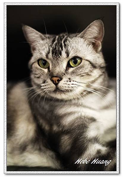 nEO_IMG__MG_9673.jpg