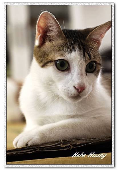 nEO_IMG__MG_9706.jpg