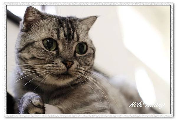 nEO_IMG__MG_9721.jpg