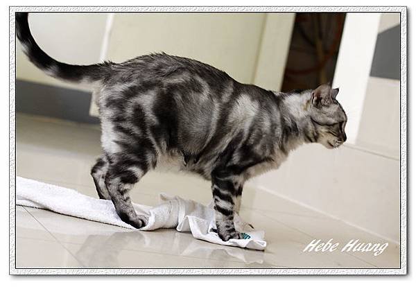 nEO_IMG__MG_9732.jpg