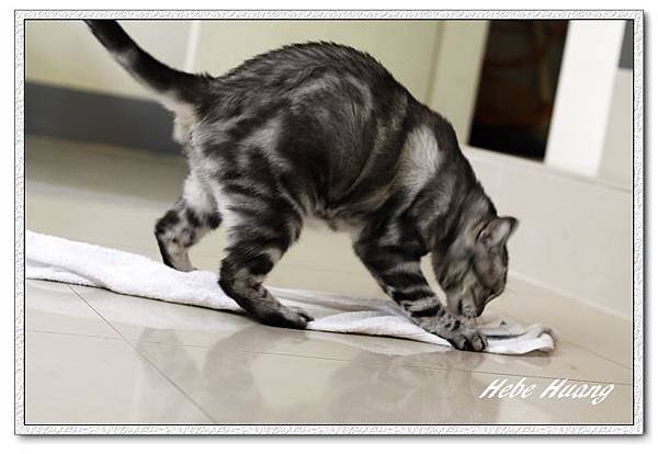 nEO_IMG__MG_9729.jpg