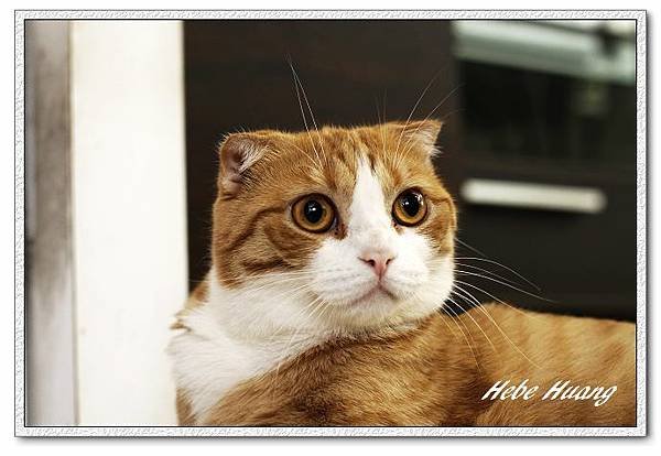 nEO_IMG__MG_9750.jpg