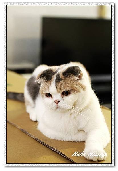 nEO_IMG__MG_9767.jpg