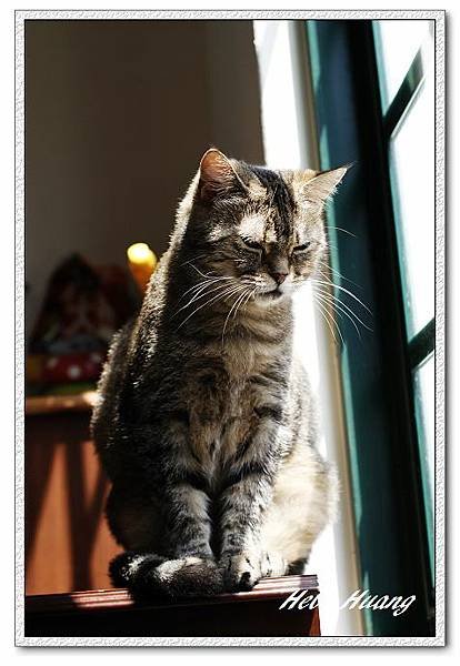 nEO_IMG__MG_9772.jpg
