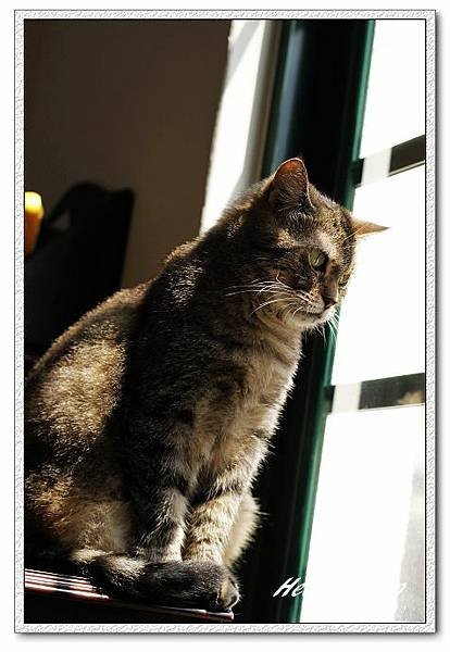 nEO_IMG__MG_9777.jpg
