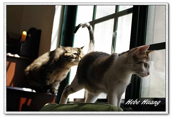 nEO_IMG__MG_9792.jpg