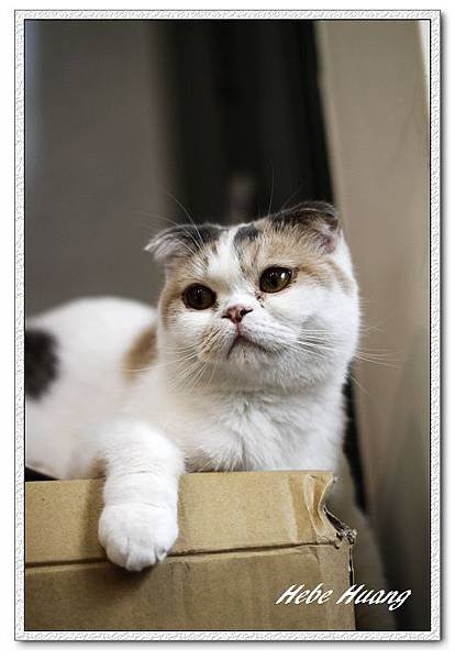 nEO_IMG__MG_9803.jpg