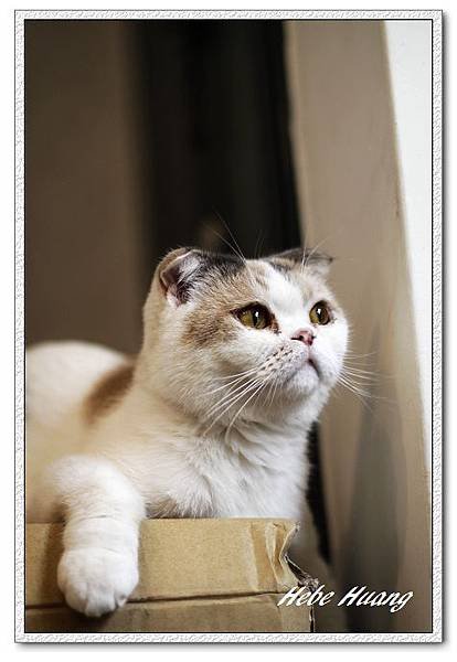 nEO_IMG__MG_9804.jpg