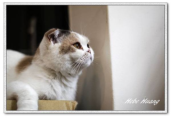 nEO_IMG__MG_9807.jpg