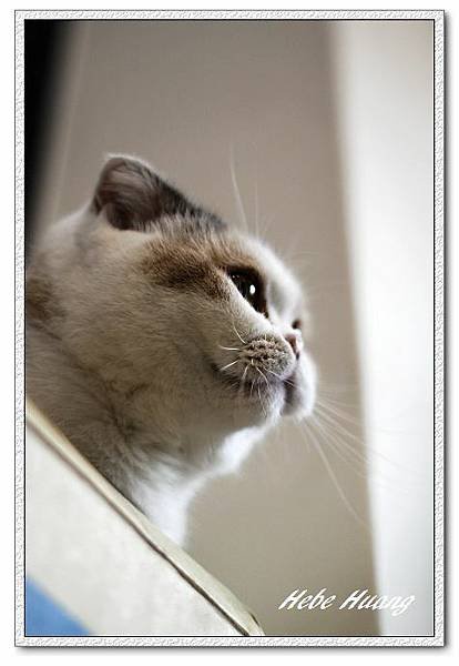 nEO_IMG__MG_9813.jpg