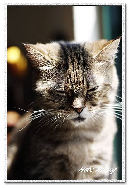 nEO_IMG__MG_9823.jpg