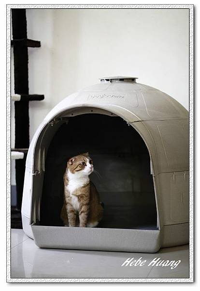 nEO_IMG__MG_9910.jpg