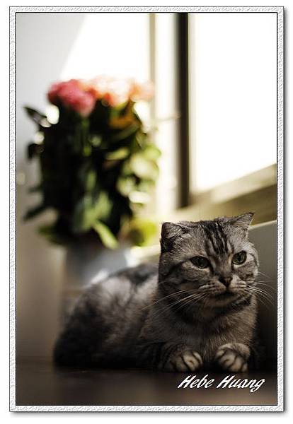 nEO_IMG__MG_9974.jpg