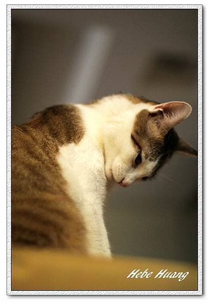 nEO_IMG_IMG_9880.jpg