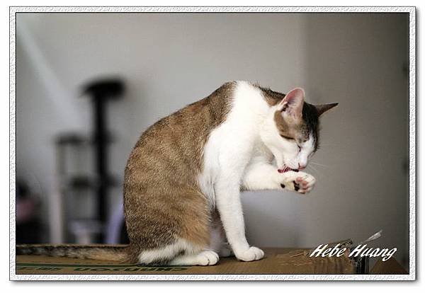 nEO_IMG_IMG_9872.jpg