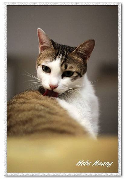 nEO_IMG_IMG_9888.jpg