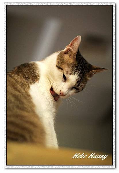 nEO_IMG_IMG_9883.jpg