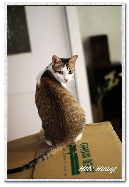 nEO_IMG_IMG_9901.jpg