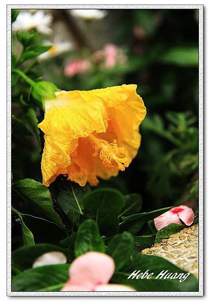 nEO_IMG_IMG_1222.jpg