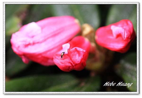nEO_IMG_IMG_3212.jpg