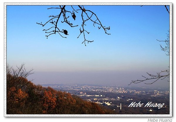 nEO_IMG_IMG_5981.jpg