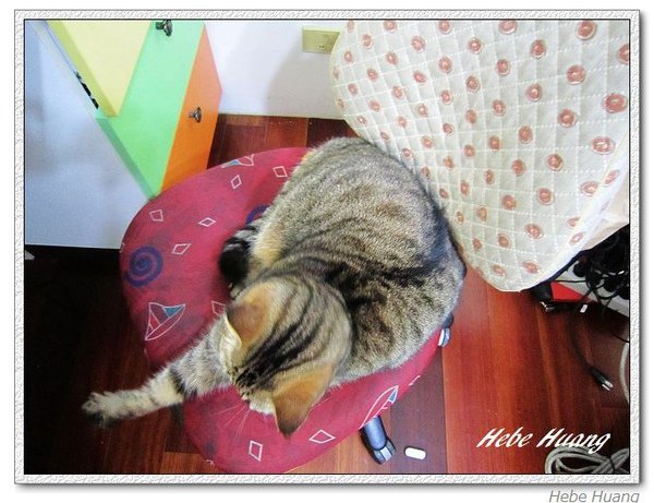nEO_IMG_IMG_4100.jpg