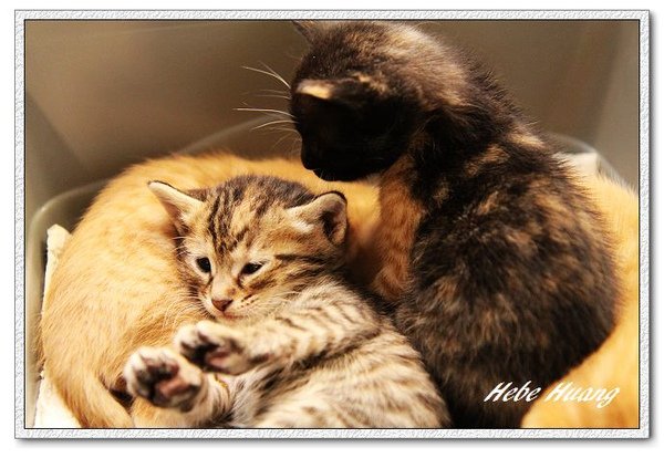 nEO_IMG_IMG_9920.jpg