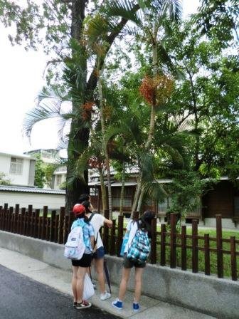 柯南 104.jpg