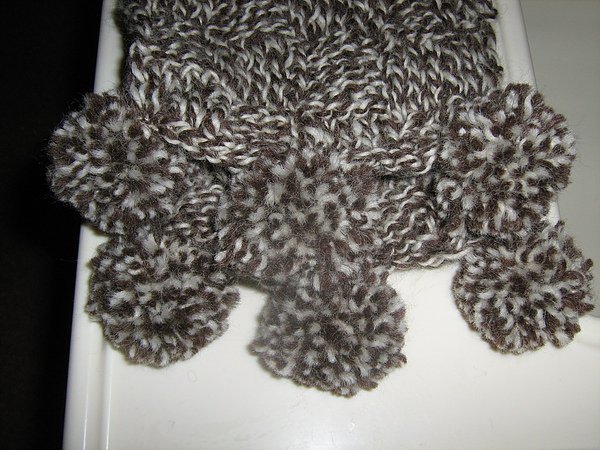 scarf 2010 (2).JPG
