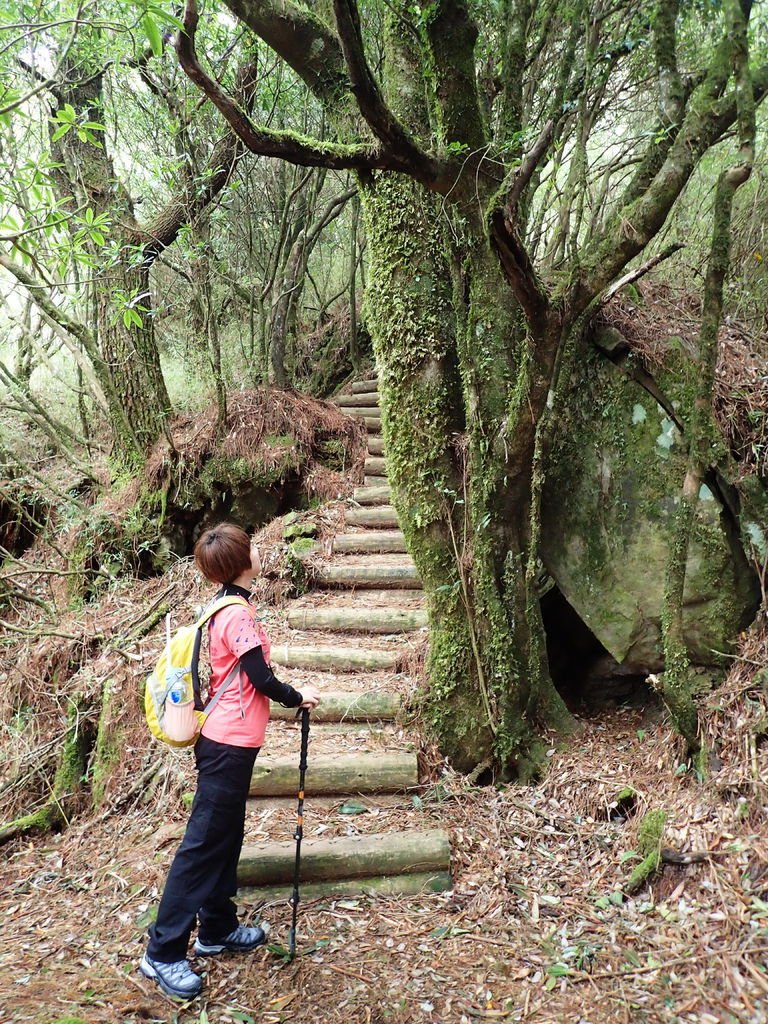PA110775.jpg