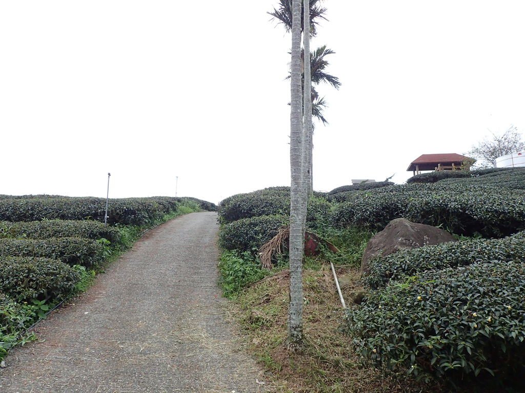 PB011100.JPG