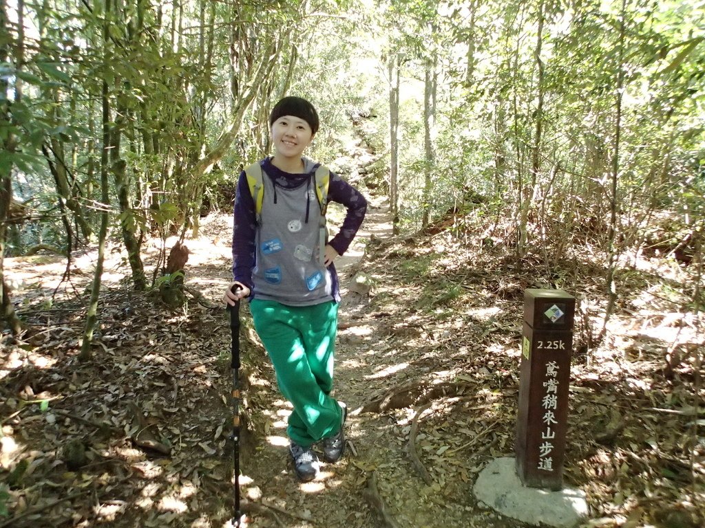 P1010076.JPG