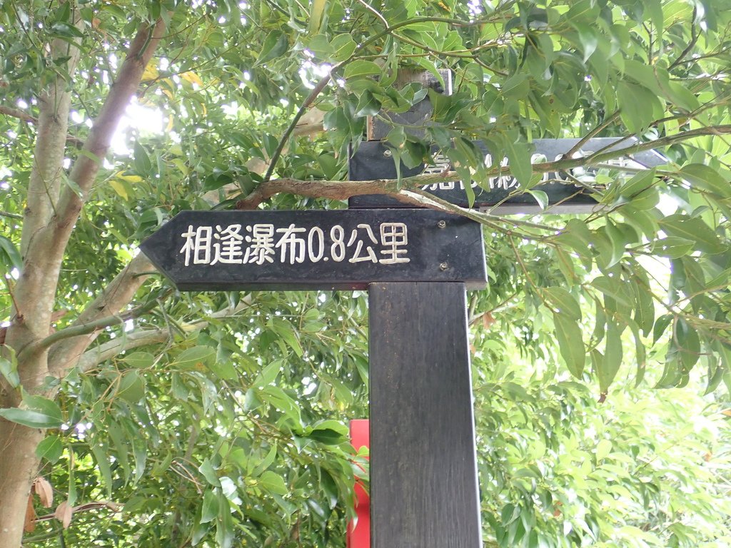 P9241347.JPG